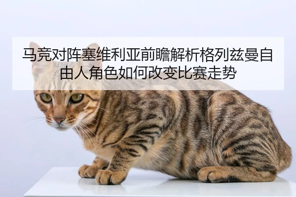马竞对阵塞维利亚前瞻解析格列兹曼自由人角色如何改变比赛走势（kaiyun）
