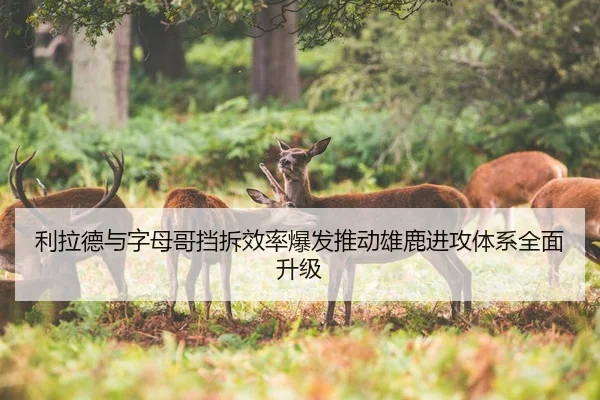 利拉德与字母哥挡拆效率爆发推动雄鹿进攻体系全面升级 | kaiyun